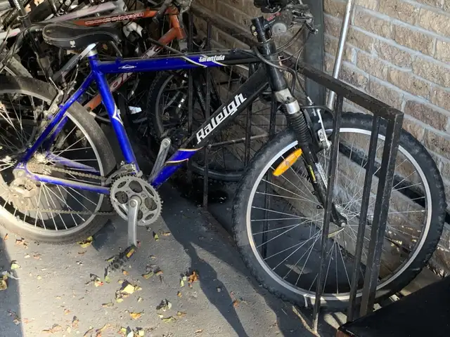 Raleigh Tarantula64840233931650120