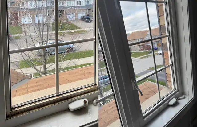 Freelance cleaner in Cleaning & Housekeeping in Brantford - Image 3
