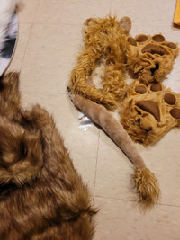 Lion head tail and paws costume