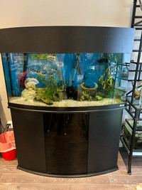 Aquarium with stand and fluval FX5 filter