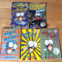 5 Fly Guy books (scholastic)