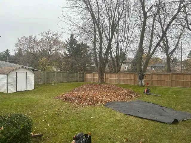 leaf removal 595974607298908162