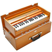 Harmonium/ Singing lessons for all age groups*****