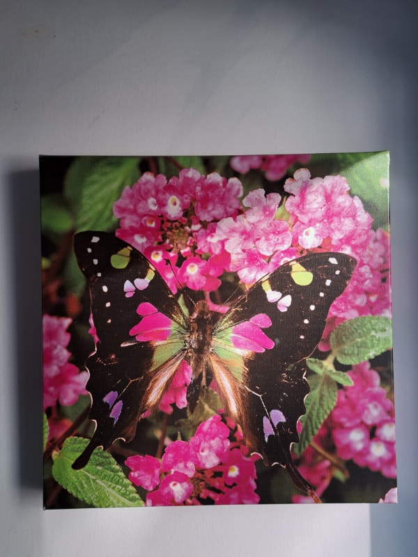 canvas Photo frames Home Décor & Accents Dartmouth Kijiji