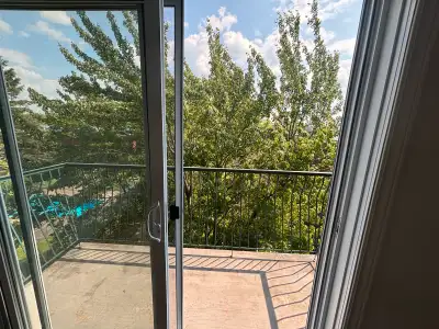 4 ½ Apartment – June Free