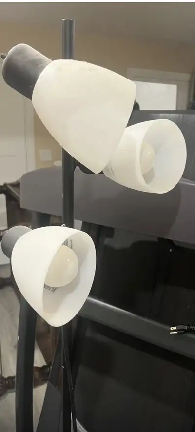 Floor Lamp, View more