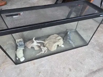 Aquarium , View more