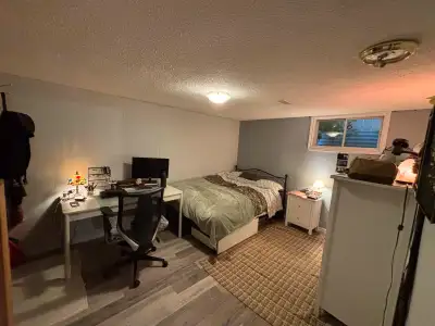 Room Available in Shared Student House