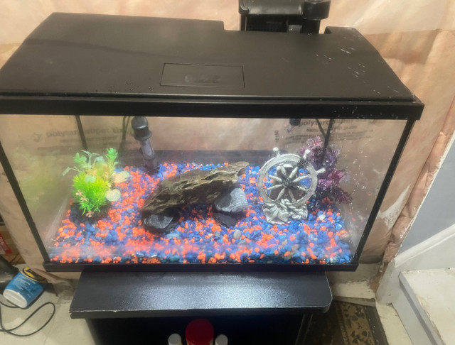Fish Tank / Aquarium with Stand-10 gals in Fish for Rehoming in Oshawa / Durham Region