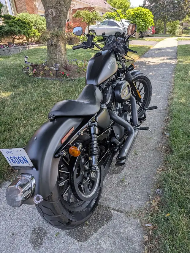 2014 Harley Davidson Sportster 883 in Street, Cruisers & Choppers in Mississauga / Peel Region - Image 4
