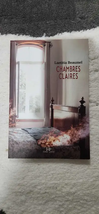 Livre "Chambres claires", View more