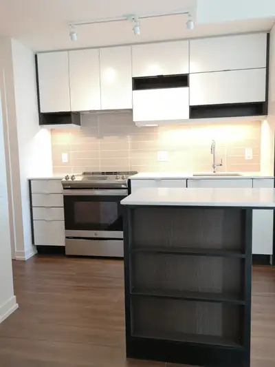 Condo condition: - 1 bedroom 1 living room 1 kitchen 1 bath 1 parking spot 1 locker with balcony - f...