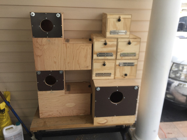 Nest boxes in Birds for Rehoming in Oshawa / Durham Region