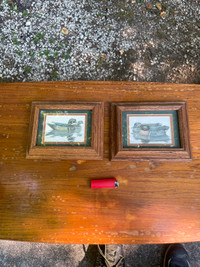 Two small oak framed ducks 