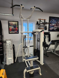 Assisted pull-up/dip machine 