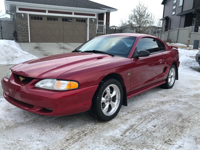 1994 Ford Mustang GT - Manual 82km only in Cars & Trucks in Edmonton - Image 2