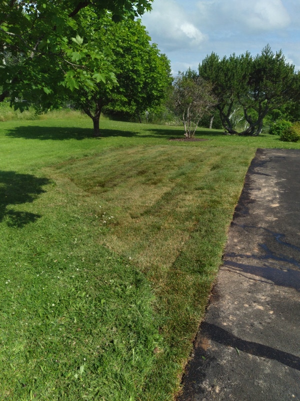 All landscaping services ,tree removal,lawn care,planting Lawn, Tree