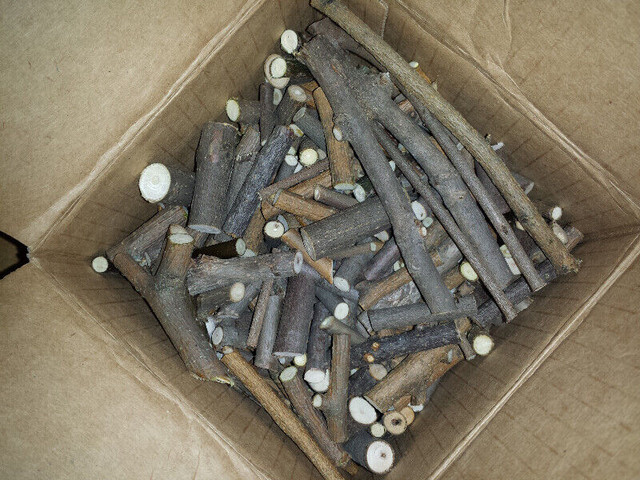 Crafting wooden "Nubbies" : Clean : Never Used : As shown in Hobbies & Crafts in Cambridge - Image 2
