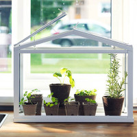 IKEA mini greenhouse 