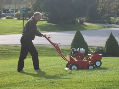 Lawn Dethatching, View more