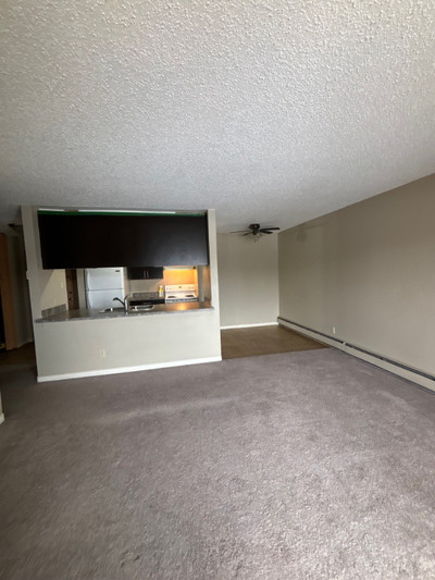 Cozy One Bedroom Apartment for Rent - $1,100/month