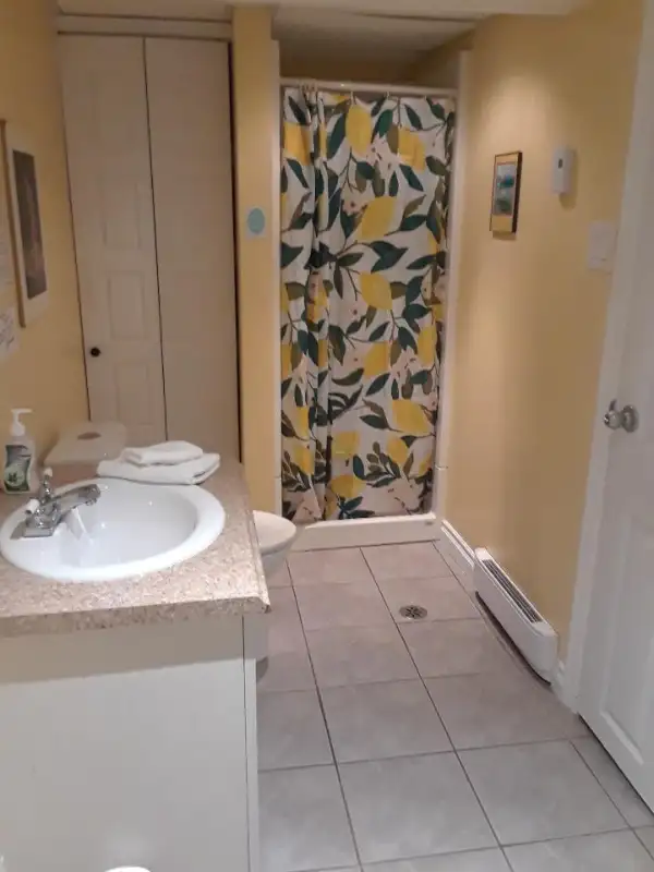 Massage de relaxation in Massage Services in Gatineau - Image 3