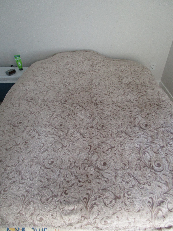 Plush Blanket/Throw in Bedding in Winnipeg - Image 2
