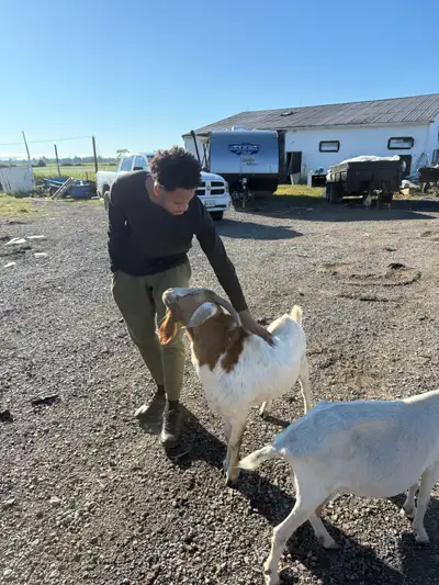 Farm house in Wellandport for rent. This is a duplex with the Onwer living in one section and lookin...