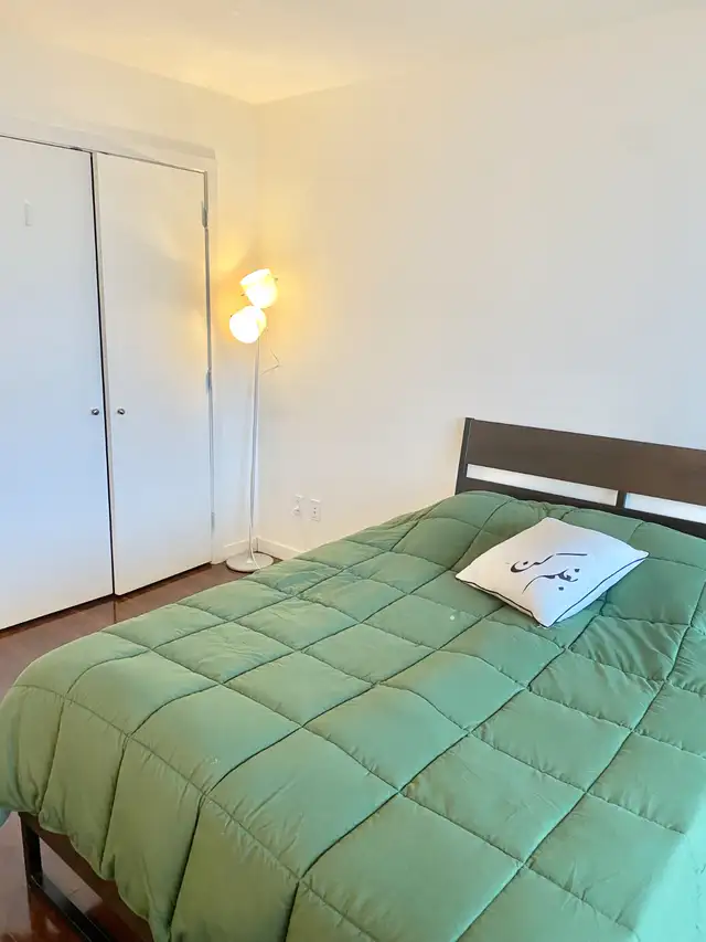 Home for the Holidays in British Columbia in Canada - Image 3