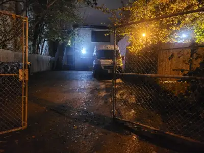 Christmas lights, falls leaves and gutter cleaning,snow removals, View more