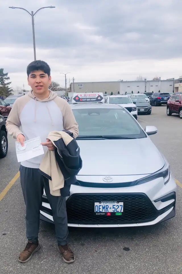 DRIVING LESSONS65115331415682121