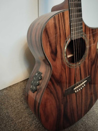Ibanez Exotic Wood Acoustic