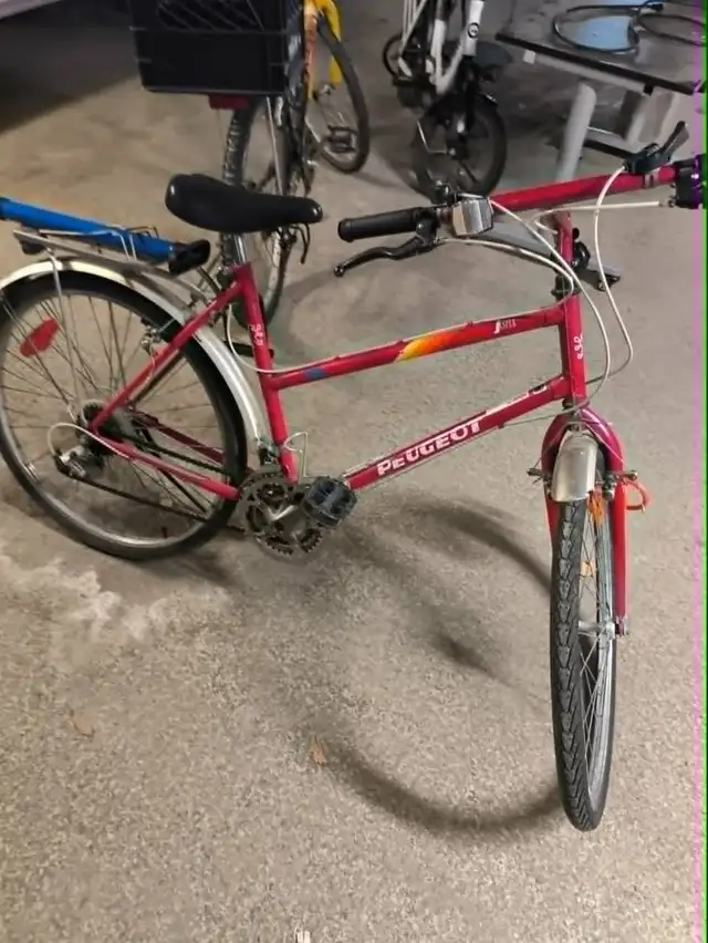 Peugeot Vintage Ladies City Bike – Step-Through, Multi-Speed ✨
