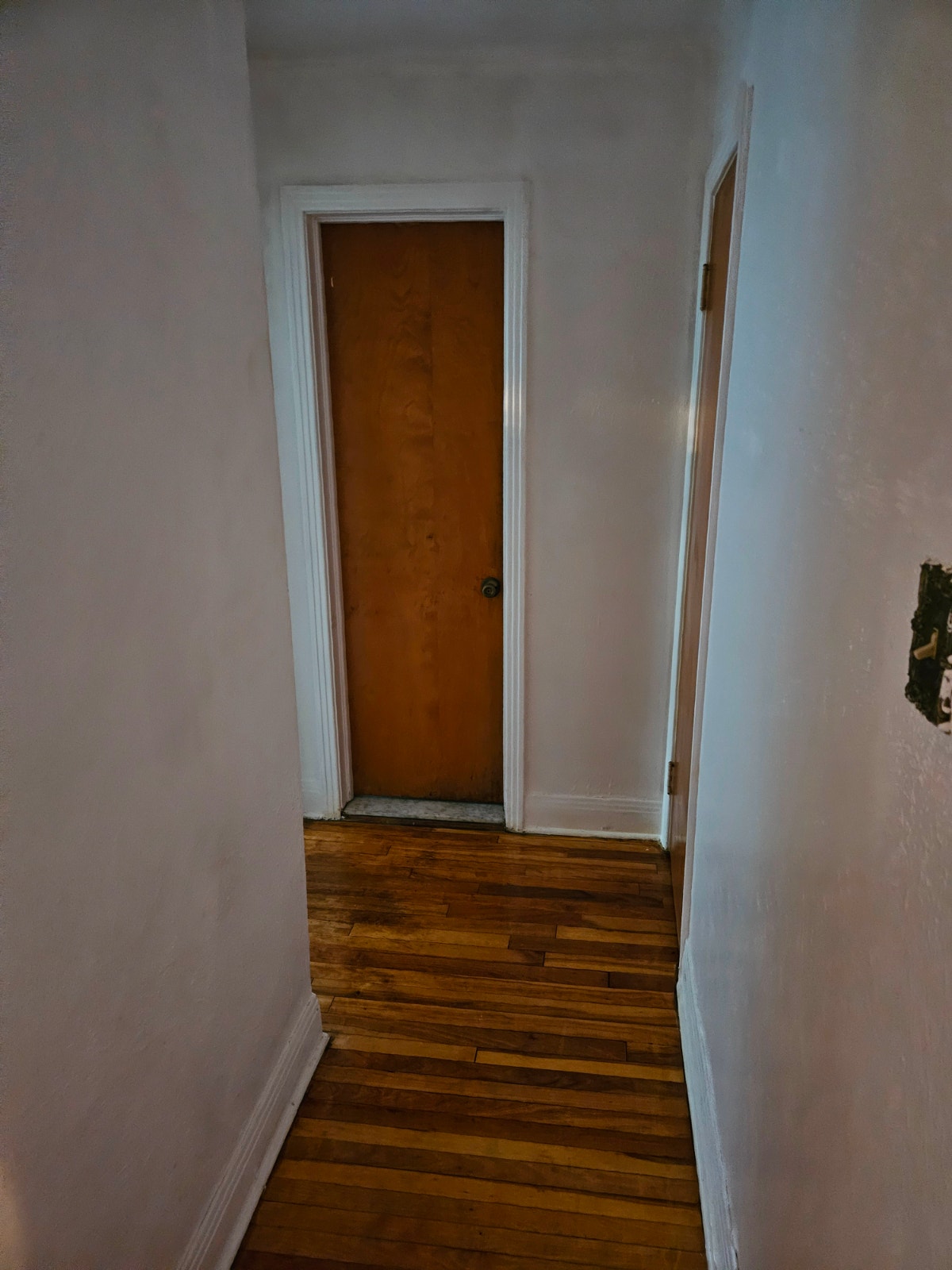 5 1/2 apt cote des neiges metro plamondon  h3w1e3  1400$ — photo 3