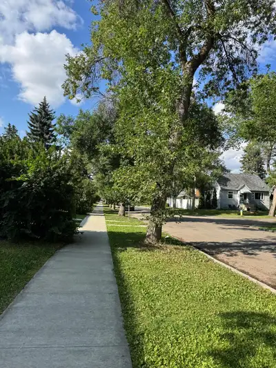 One large master bedroom available for only August. It's a three bedroom house with a spacious livin...