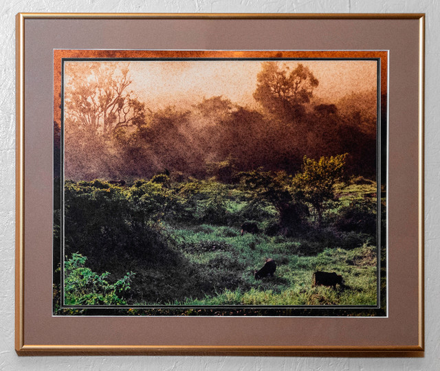 Framed original photographic prints-various in Arts & Collectibles in Strathcona County - Image 4