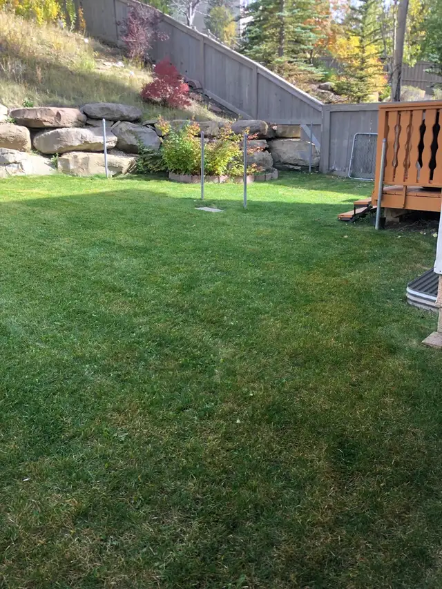 PROFESSIONAL FALL CLEANUP & SNOW REMOVAL 600046539920517123