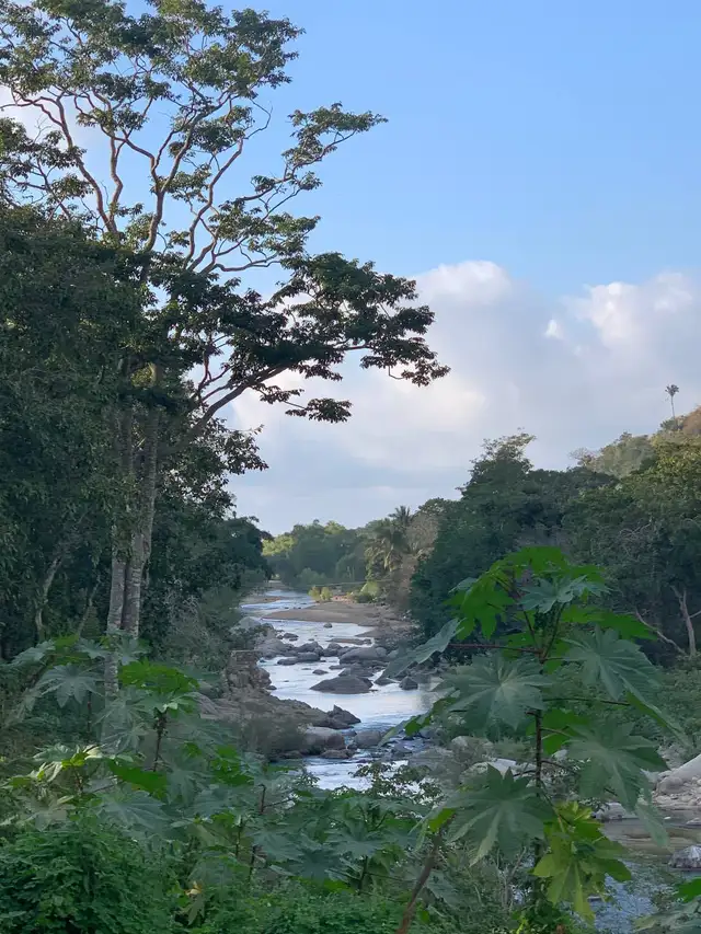 Yelapa, Mexico | Peaceful 2BR Jungle / Ocean Apartment in Mexico in Canada - Image 11