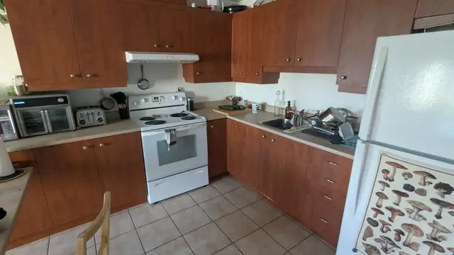 Room for rent - Rue Queen in Room Rentals & Roommates in Sherbrooke - Image 5