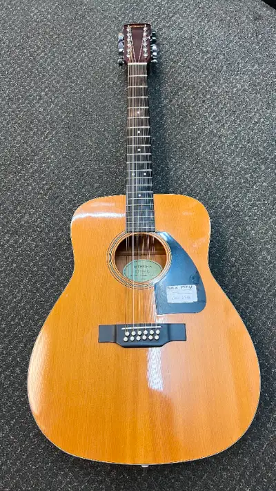 Eterna Guitars EF-18-12 12-string acoustic guitar offering a rich, full-bodied tone with enhanced re...