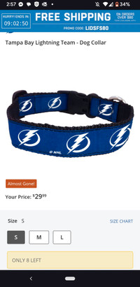 NEW Dog Puppy Collar NHL Tampa Bay Lightning 