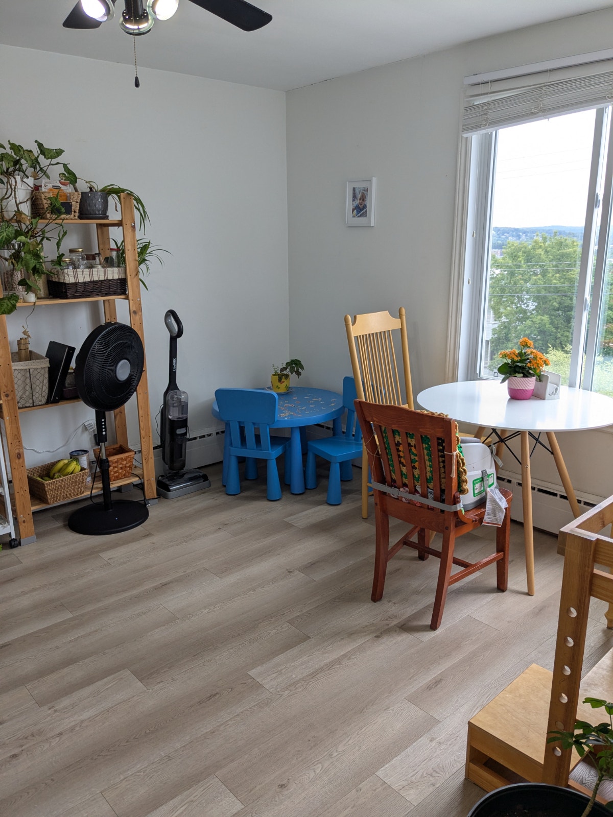 Appartement spacieux 5 ½ très lumineux (électroménagers inclus) — photo 3