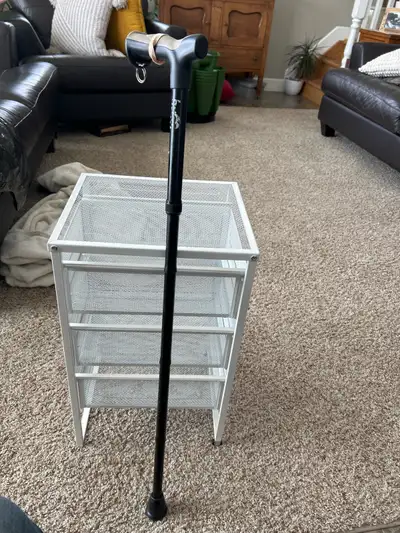Folding cane. , View more