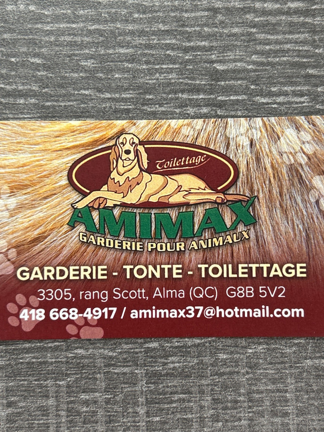 Garderie et toilettage  dans Services pour animaux  à Lac-Saint-Jean