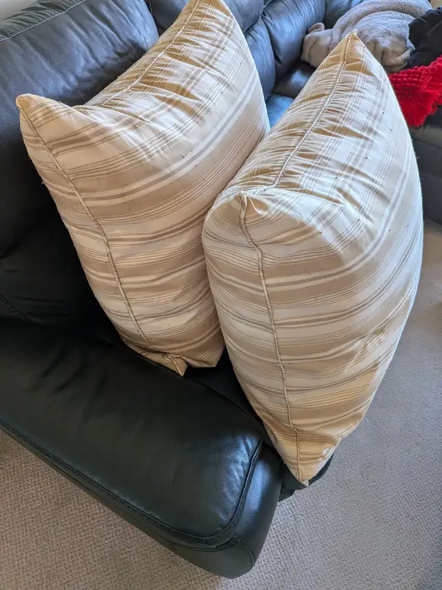 Two Large Pillows65669428034690123