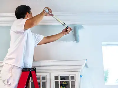 Painter Wanted, View more