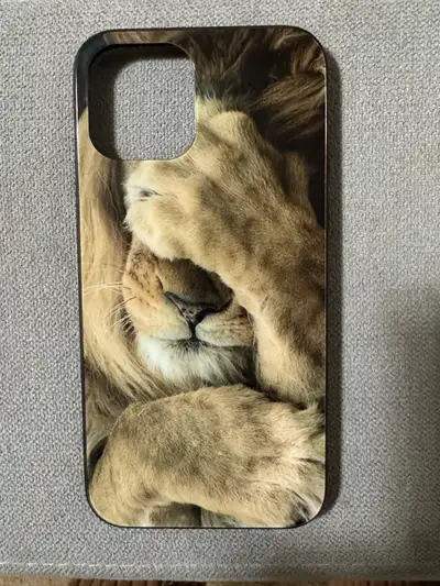 Iphone 12 cover, View more