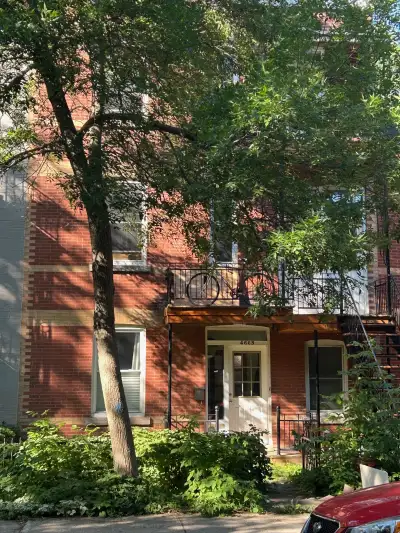 Cœur du plateau, 5½ au rez-de-chaussé, cour et stationnement