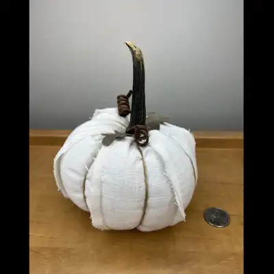 Pumpkin décor, View more