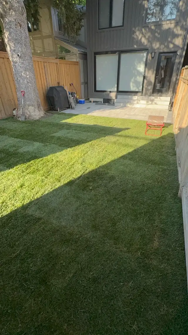 SOD INSTALL - New Grass63008305257091121